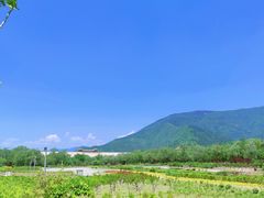 -十三陵水库