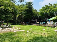 -广州长隆飞鸟乐园