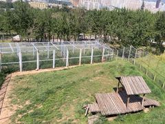 -青藏高原野生动物园