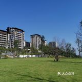 礼嘉龙湖两江新宸•云岭旁边公园陡坡上的美丽小花海！