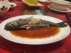 -天津君隆威斯汀酒店