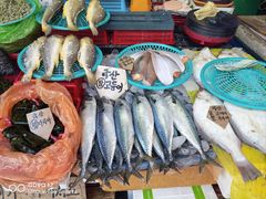 -海云台海滩
