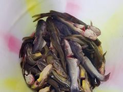 -谭记石锅鱼府(三道堰店)