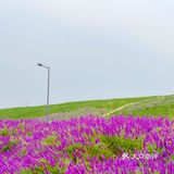成都旅游｜这里拍照很出片