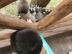 -上海野生动物园