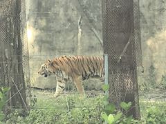 -秦皇岛野生动物园