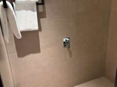 -新加坡瑞士史丹福酒店