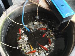 -到家尝北京菜(西坝河店)