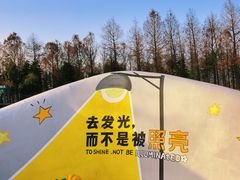 -荷兰花海