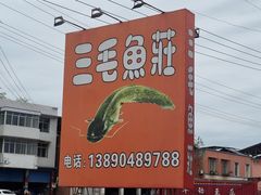 -三毛鱼庄(威连路店)