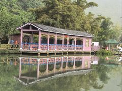 -靖西鹅泉风景区