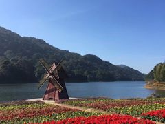 -广州市石门国家森林公园