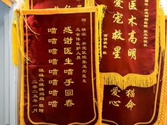 -瑞派·关忠动物医院·猫专科·犬专科(三环新城店)