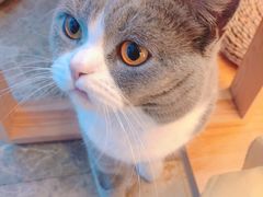 -Catmate·猫肥家润(金润铂宫店)