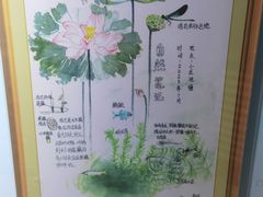 -上海昆虫博物馆