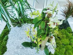 -荷兰布尔玛国际花艺学院