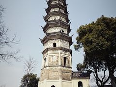-苏州上方山国家森林公园