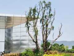 -光明小镇欢乐田园