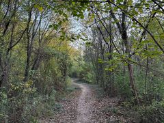 -盘龙城国家考古遗址公园