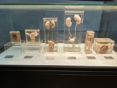 -浙江自然博物院(杭州馆)