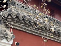 -长春观