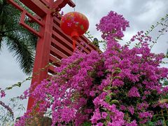 -龙门水都景区