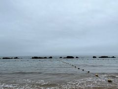 -渡海小渔村.老辈日照菜