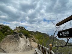 -大岭沟猕猴桃谷风景区