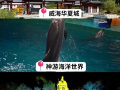-威海华夏城景区