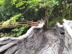 -花溪风景区