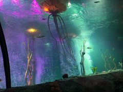 -沈阳海洋探索中心