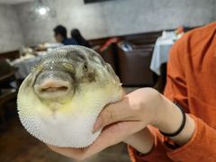 -肆月河豚·新淮扬(金融街店)