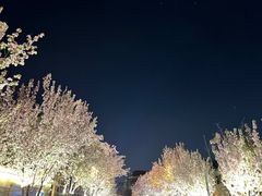 -民园广场