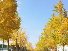 -西南民族大学南区(双流校区)