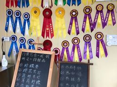 菜牌-柴犬高等学院·狗咖·柴犬售卖·宠物训练