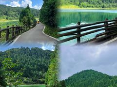 -武陵山森林公园
