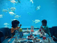 -瑞德姆美人鱼海底演艺主题餐厅(亚龙湾店)