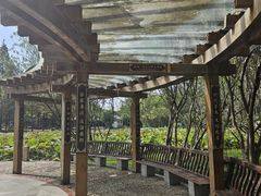 -河泥荡文化公园