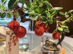 -唐猫庭院·千年陕菜(大唐不夜城店)