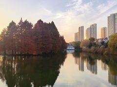 -白塘生态植物园