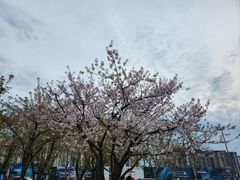 -龙美术馆(西岸馆)