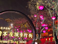 -大唐不夜城