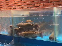 -洞庭鱼香(万科店)