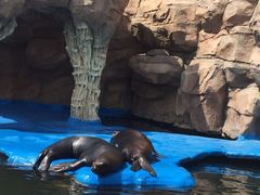 -华夏文旅海洋公园