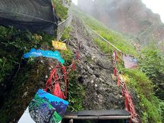 -七仙岭温泉国家森林公园