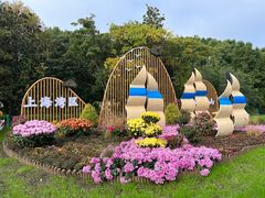 -上海共青森林公园