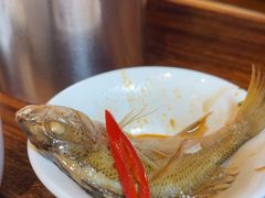 -临家闽南菜(五店市店)