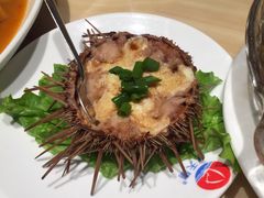 海胆蒸蛋-小船渔村•大连菜•大连焖鱼(明泽街店)