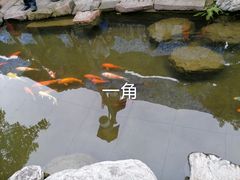 -黄龙溪古镇