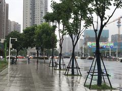 -后襄河公园